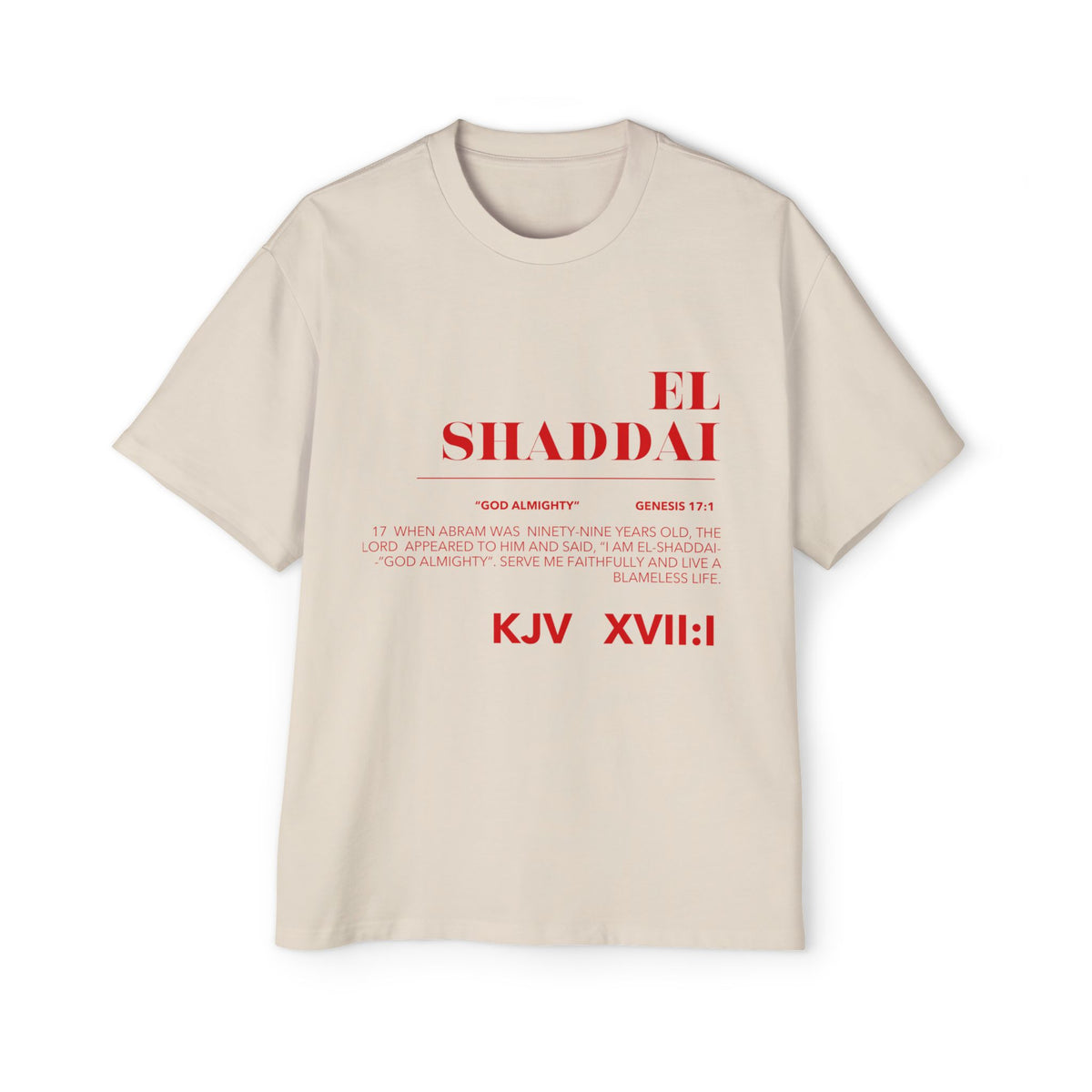 Men's Heavy Oversized Tee