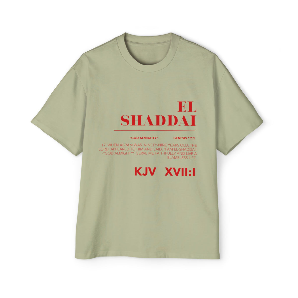Men's Heavy Oversized Tee
